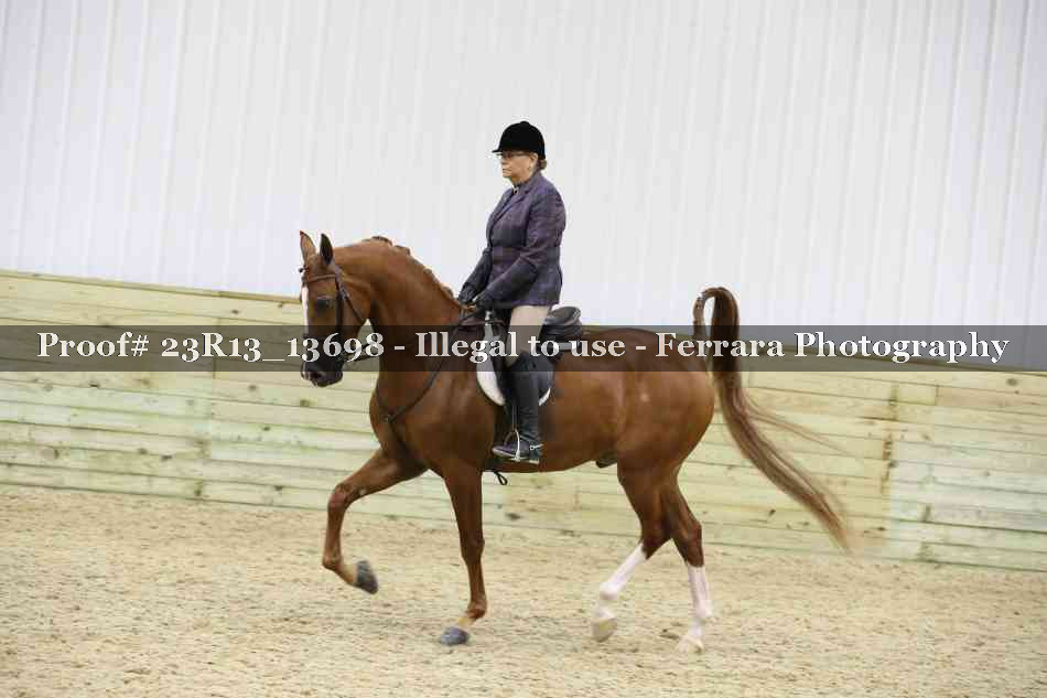 Proof Number 23R13_13698