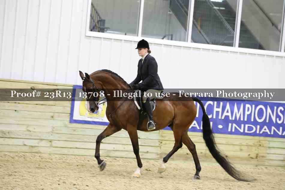 Proof Number 23R13_13708