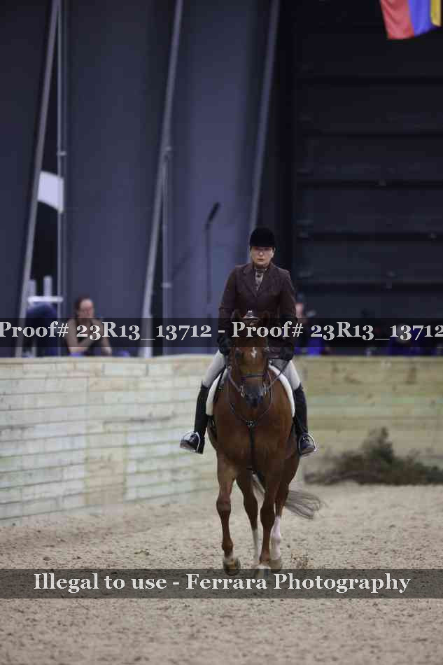 Proof Number 23R13_13712