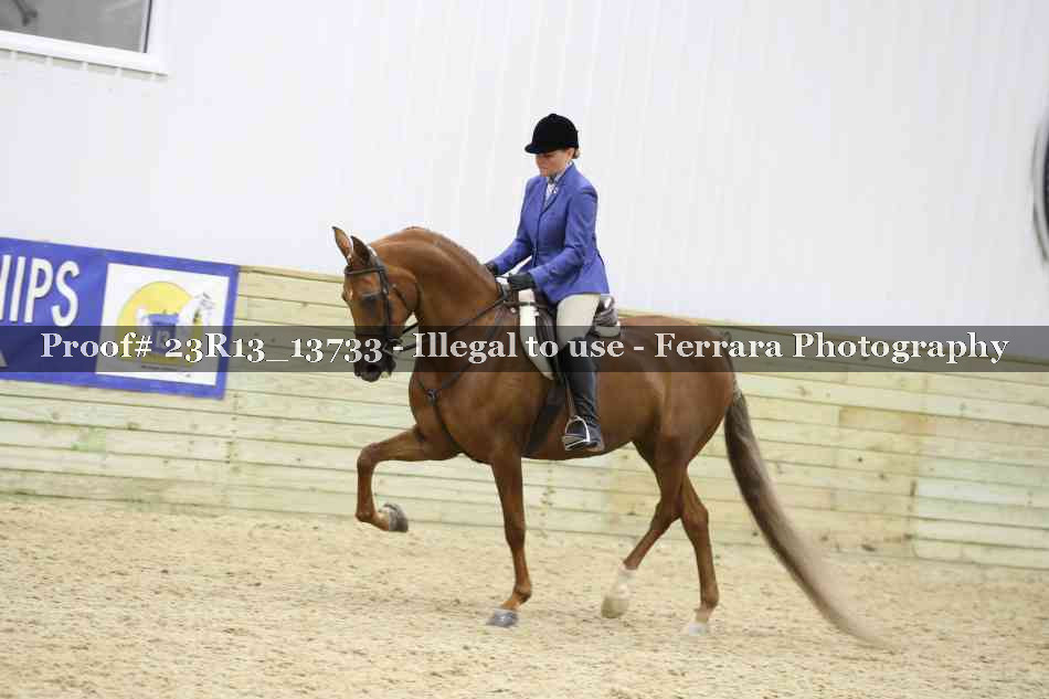 Proof Number 23R13_13733