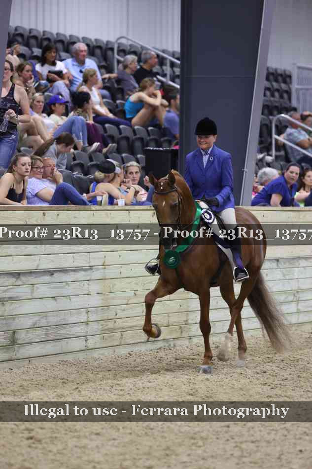 Proof Number 23R13_13757