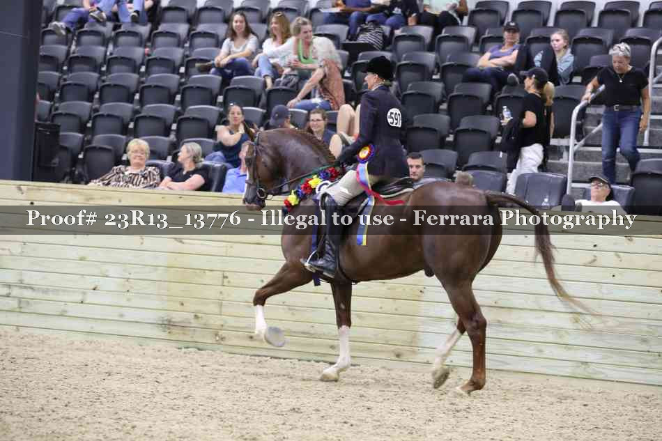 Proof Number 23R13_13776