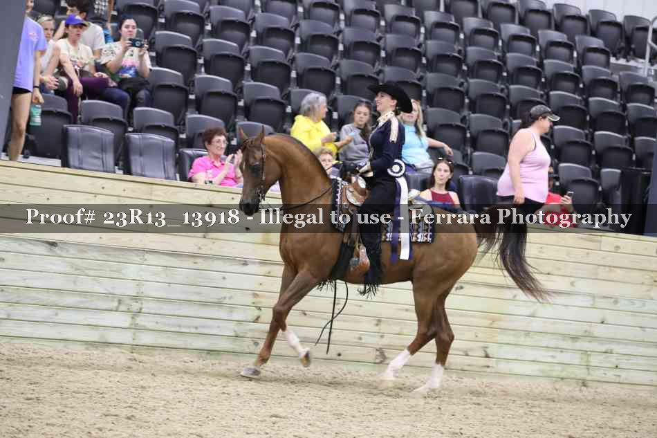 Proof Number 23R13_13918