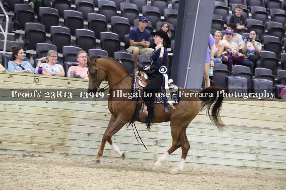 Proof Number 23R13_13919