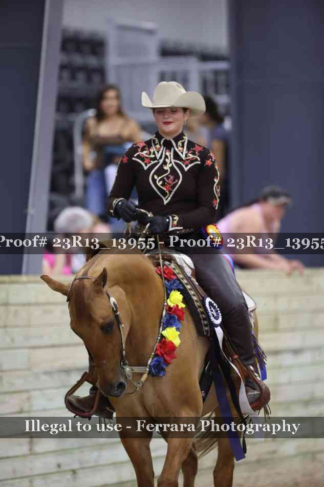 Proof Number 23R13_13955