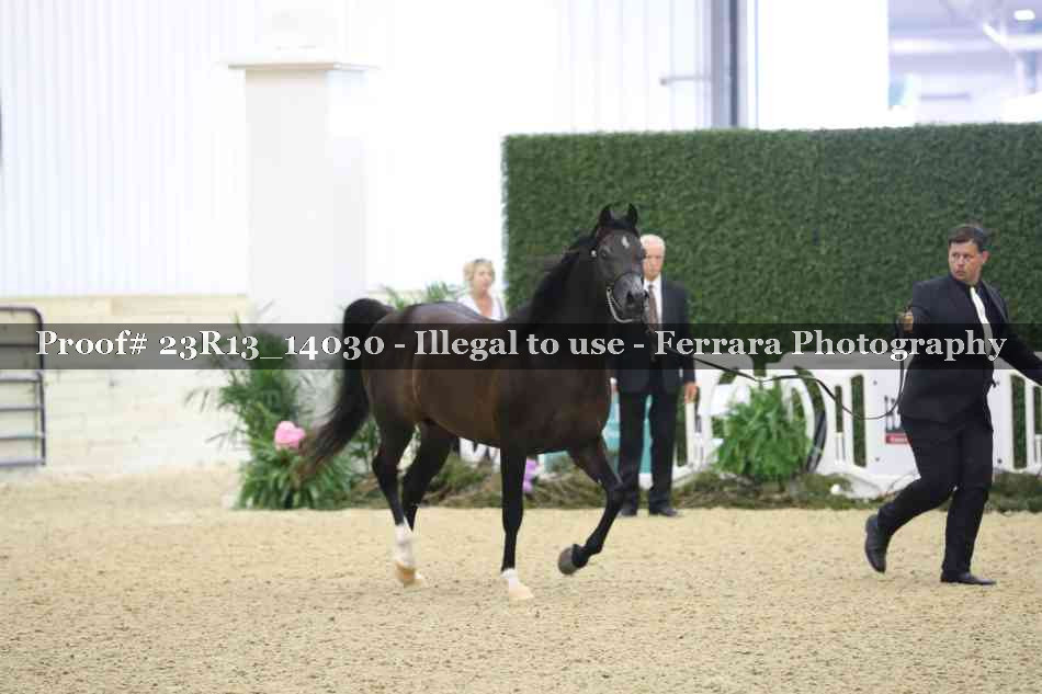 Proof Number 23R13_14030