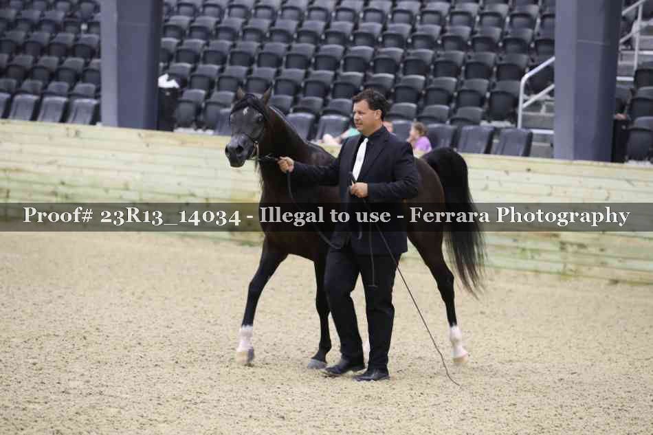 Proof Number 23R13_14034