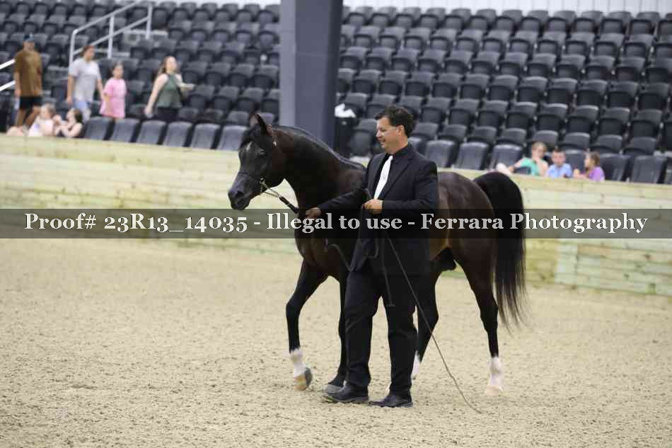 Proof Number 23R13_14035