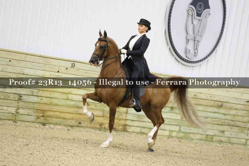 Proof Number 23R13_14056