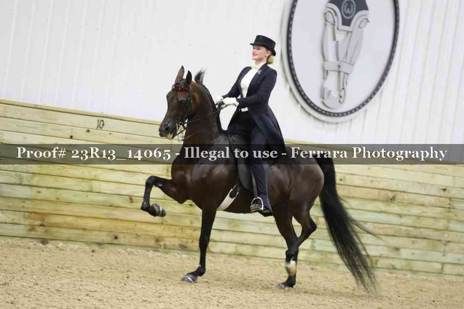 Proof Number 23R13_14065