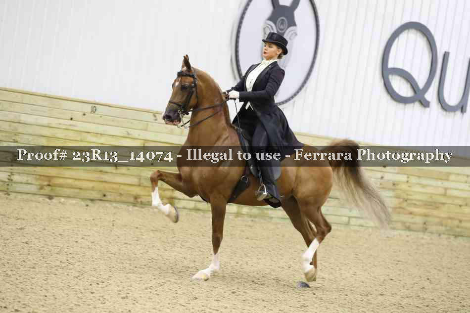 Proof Number 23R13_14074