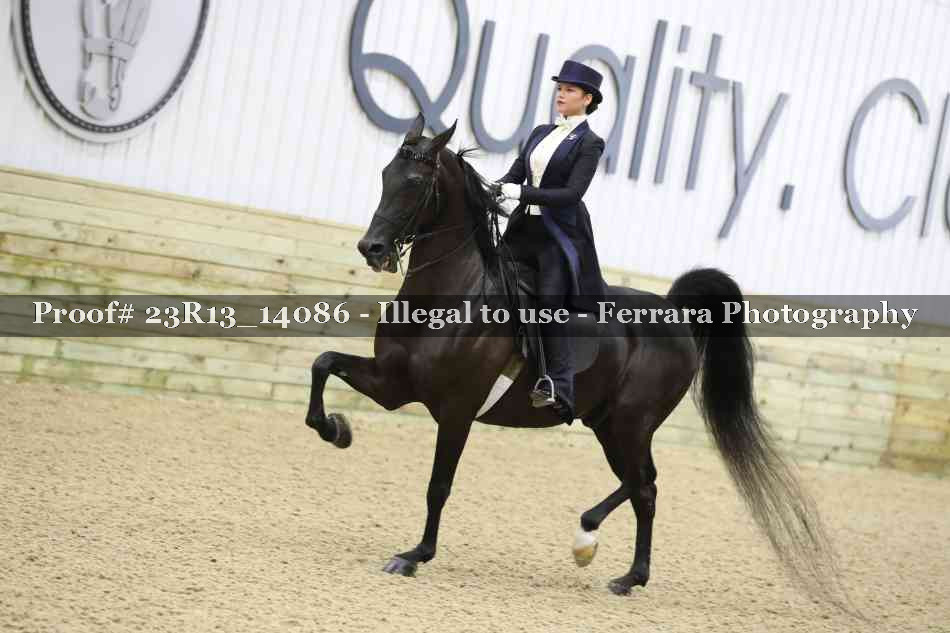 Proof Number 23R13_14086