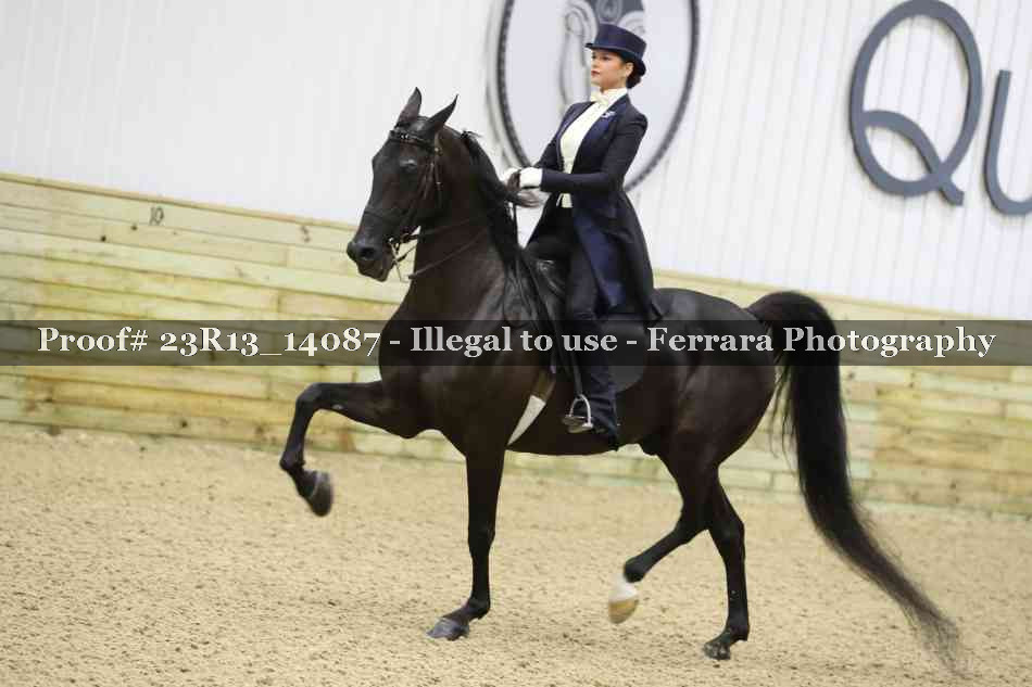 Proof Number 23R13_14087