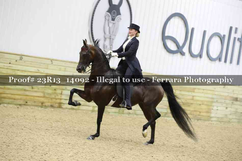 Proof Number 23R13_14092