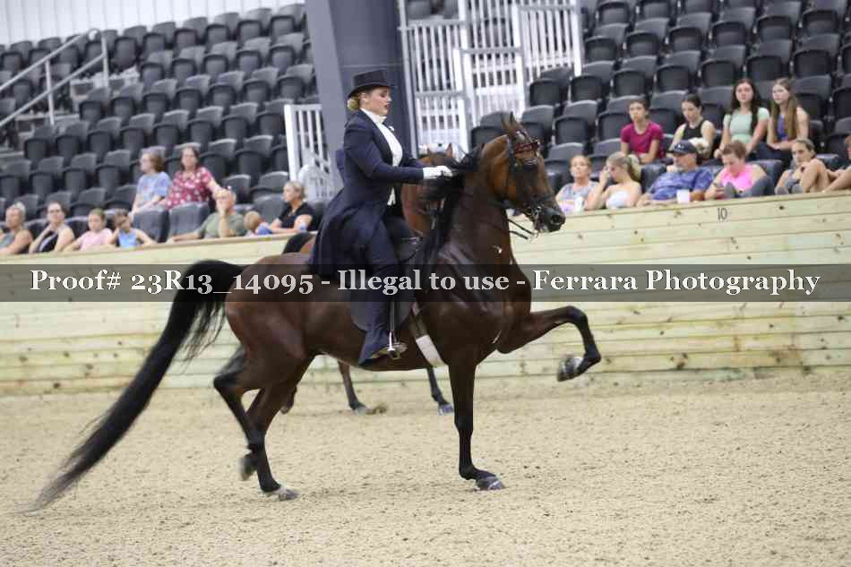 Proof Number 23R13_14095