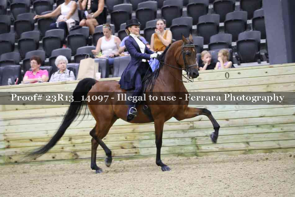 Proof Number 23R13_14097