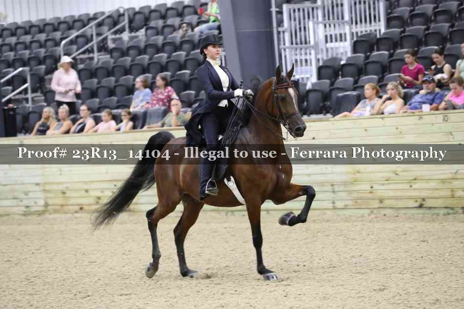 Proof Number 23R13_14104