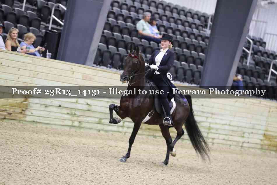 Proof Number 23R13_14131