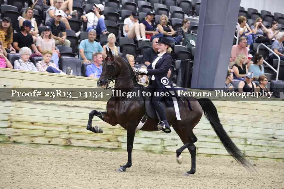 Proof Number 23R13_14134