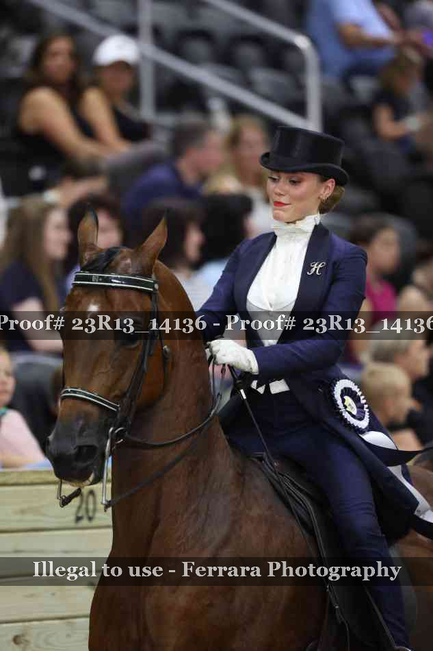 Proof Number 23R13_14136