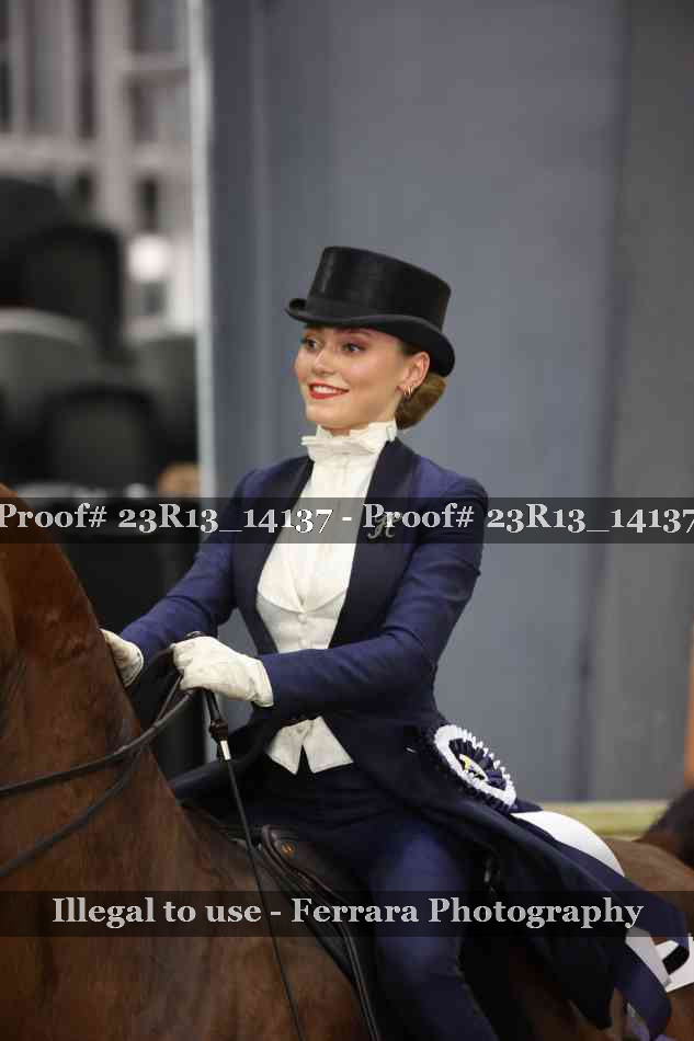 Proof Number 23R13_14137