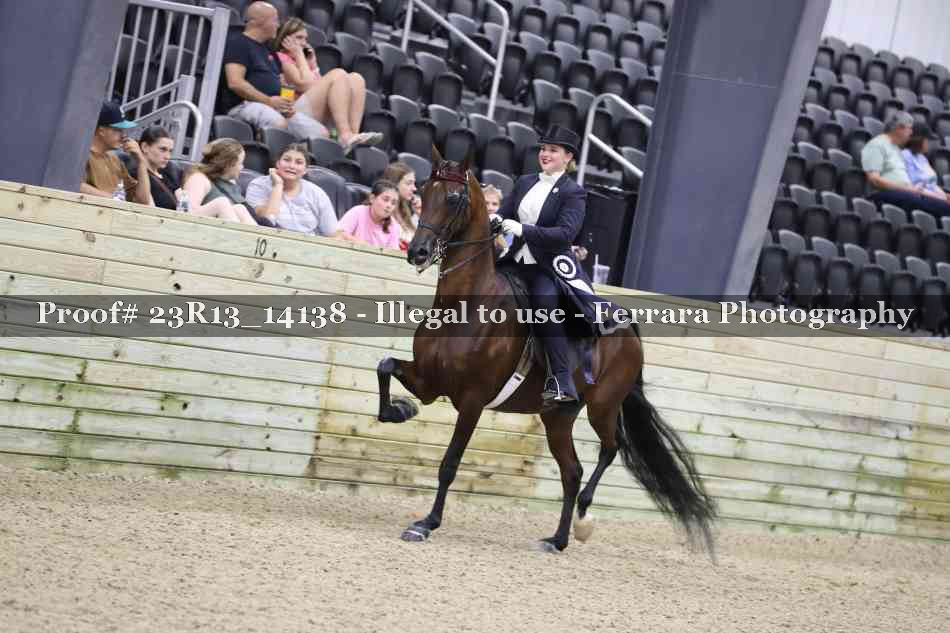 Proof Number 23R13_14138