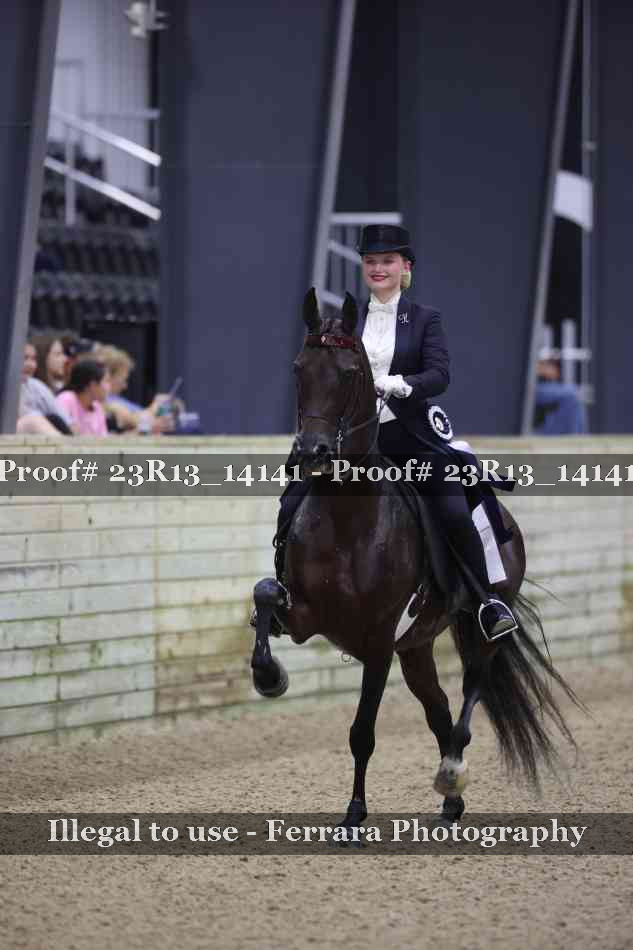Proof Number 23R13_14141