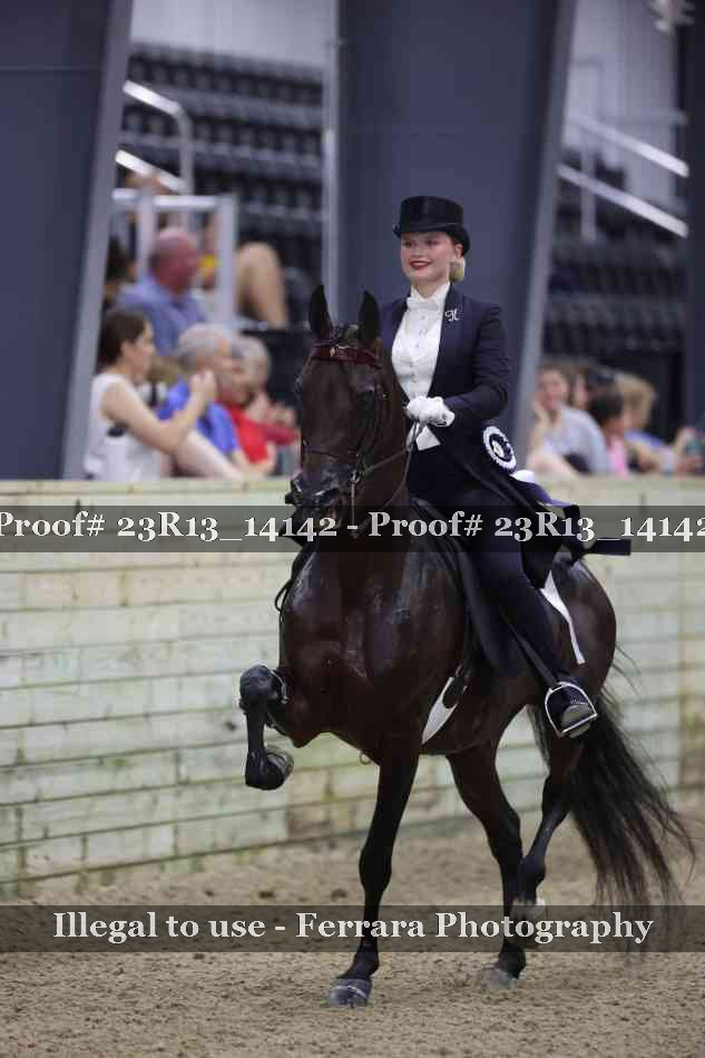 Proof Number 23R13_14142