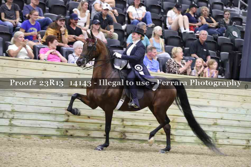 Proof Number 23R13_14143