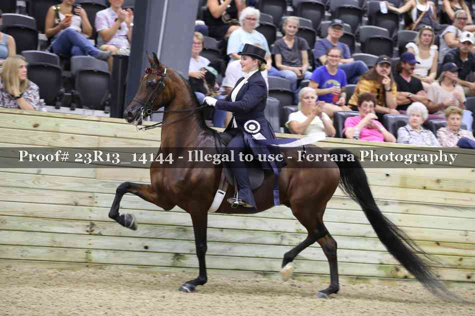 Proof Number 23R13_14144