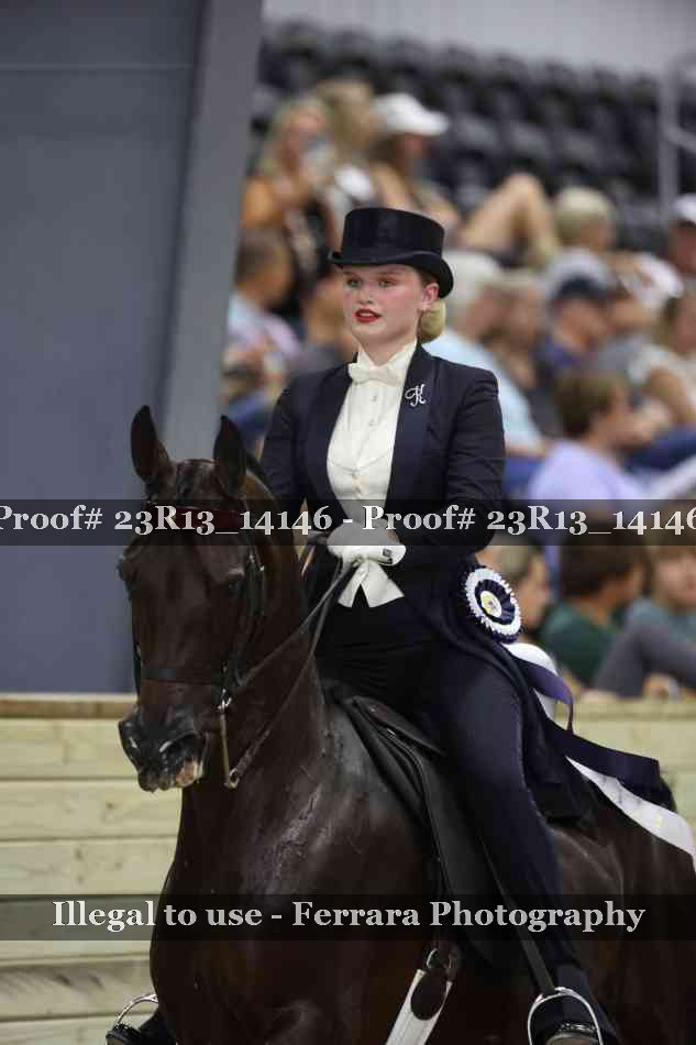 Proof Number 23R13_14146