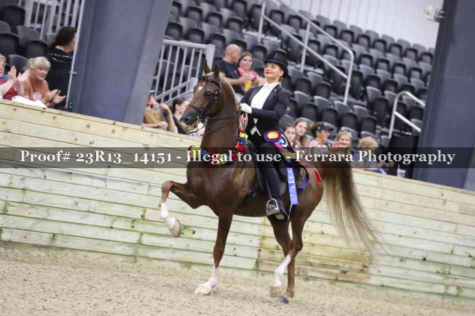 Proof Number 23R13_14151