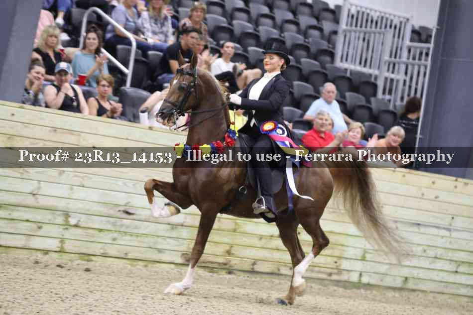 Proof Number 23R13_14153