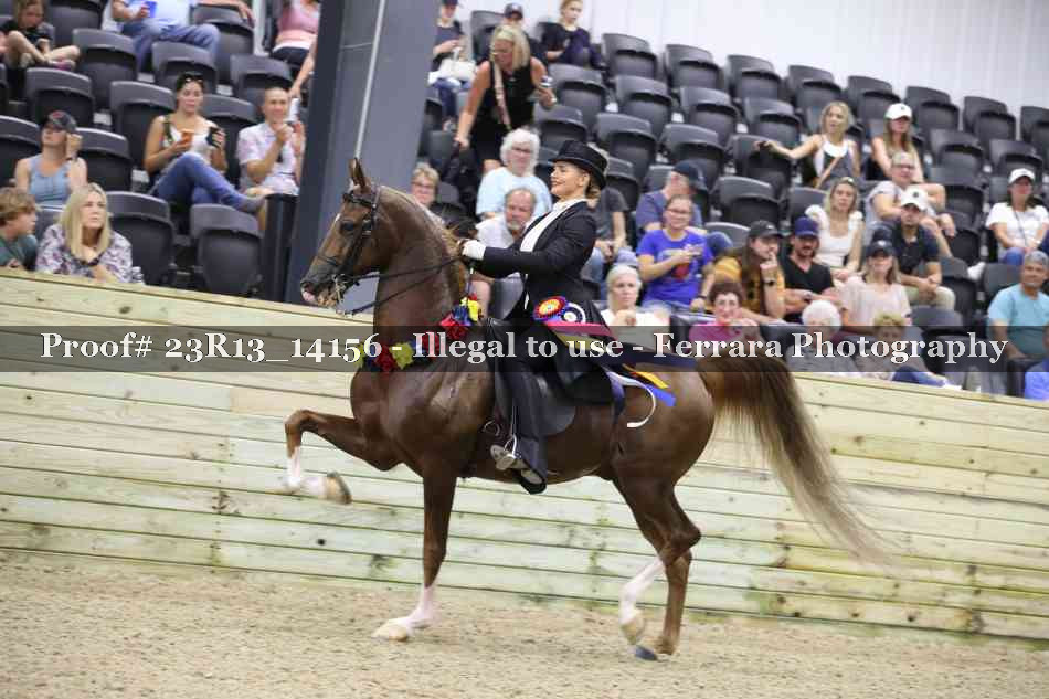 Proof Number 23R13_14156