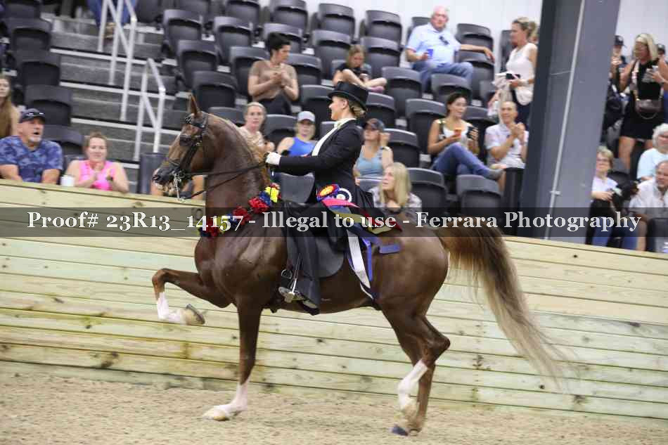 Proof Number 23R13_14157