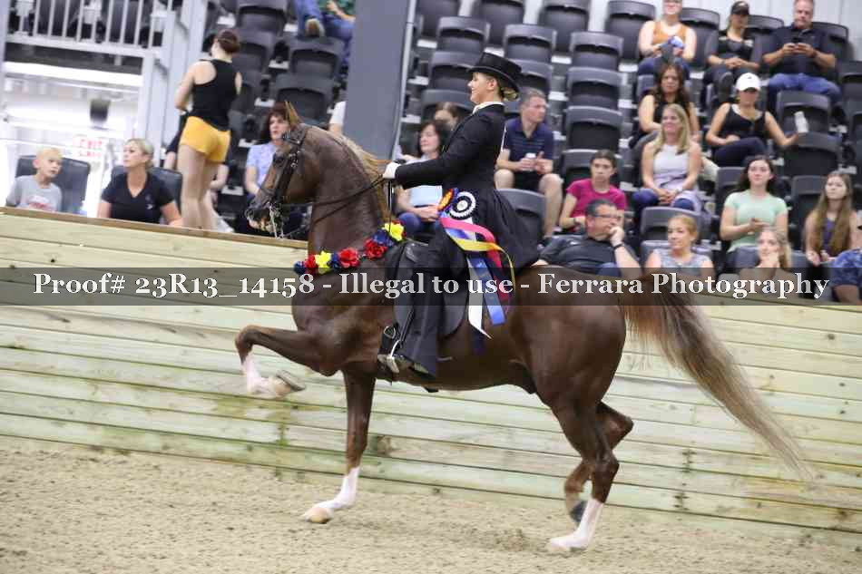 Proof Number 23R13_14158