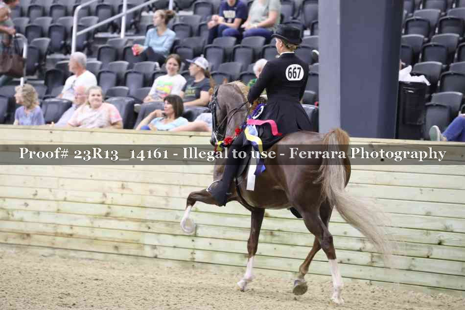 Proof Number 23R13_14161
