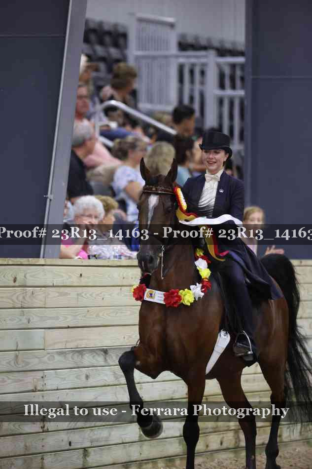 Proof Number 23R13_14163