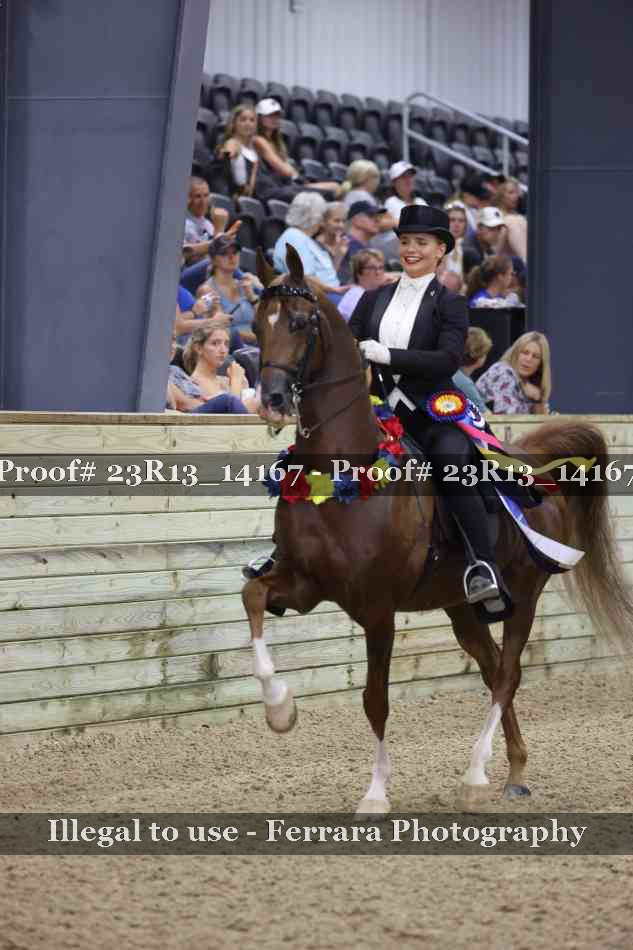 Proof Number 23R13_14167