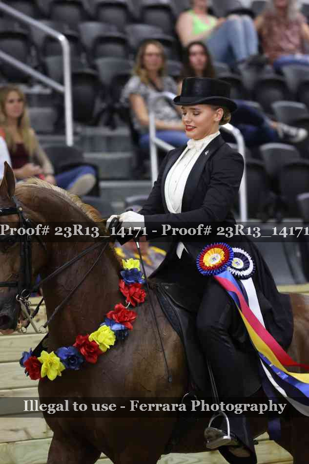 Proof Number 23R13_14171