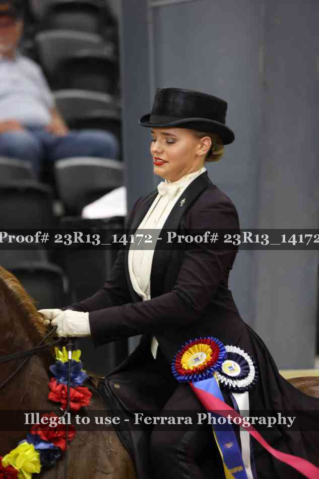 Proof Number 23R13_14172