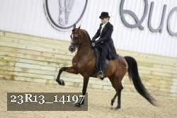 23R13_14197 thumbnail
