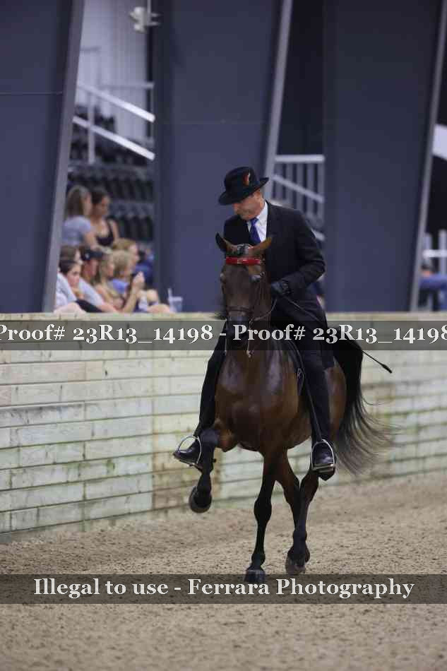 Proof Number 23R13_14198