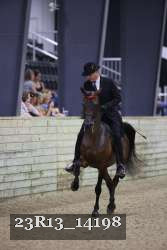 23R13_14198 thumbnail