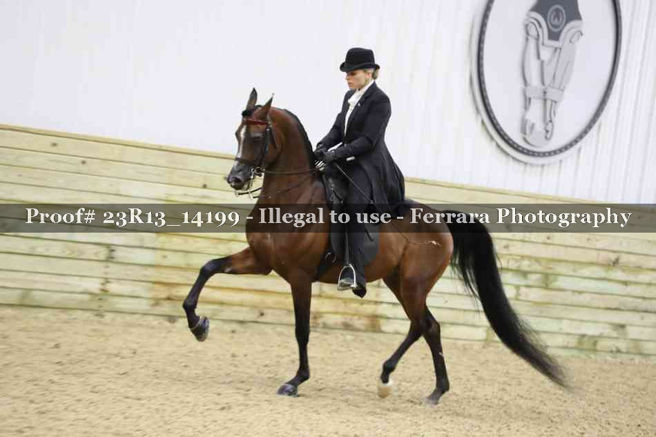 Proof Number 23R13_14199