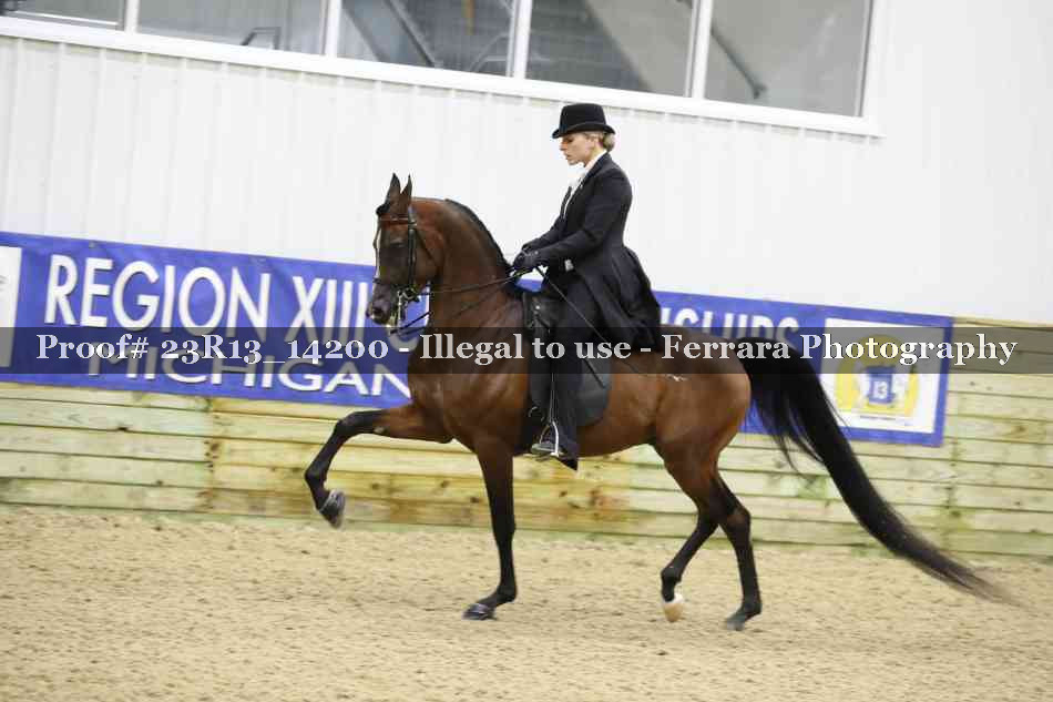 Proof Number 23R13_14200
