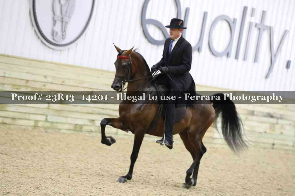 Proof Number 23R13_14201