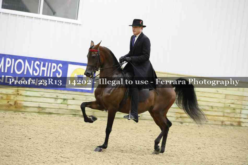 Proof Number 23R13_14202