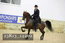 23R13_14202 thumbnail