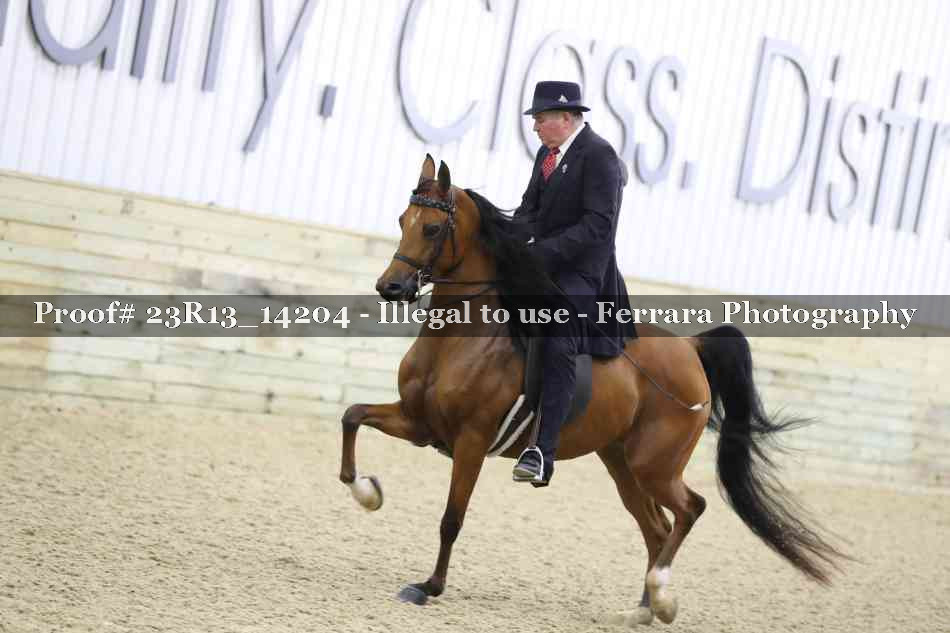 Proof Number 23R13_14204